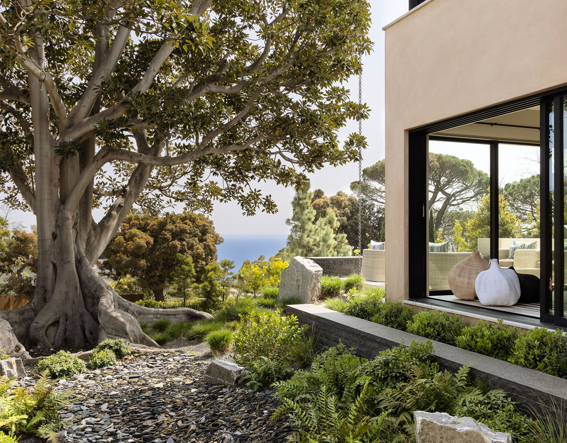View of a zen-inspired garden and Ficus tree overlooking the ocean